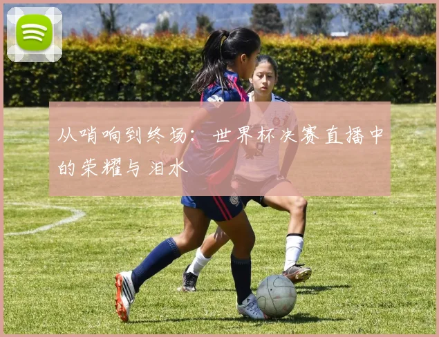 从哨响到终场：世界杯决赛直播中的荣耀与泪水