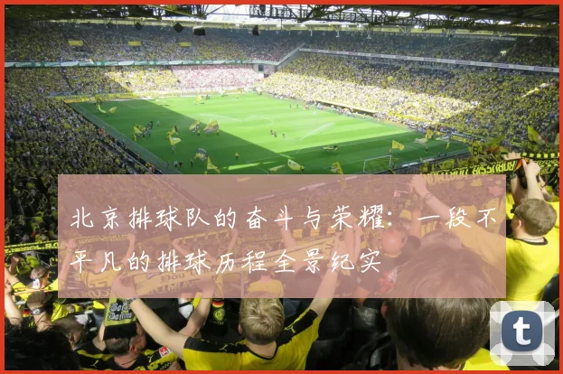 北京排球队的奋斗与荣耀：一段不平凡的排球历程全景纪实