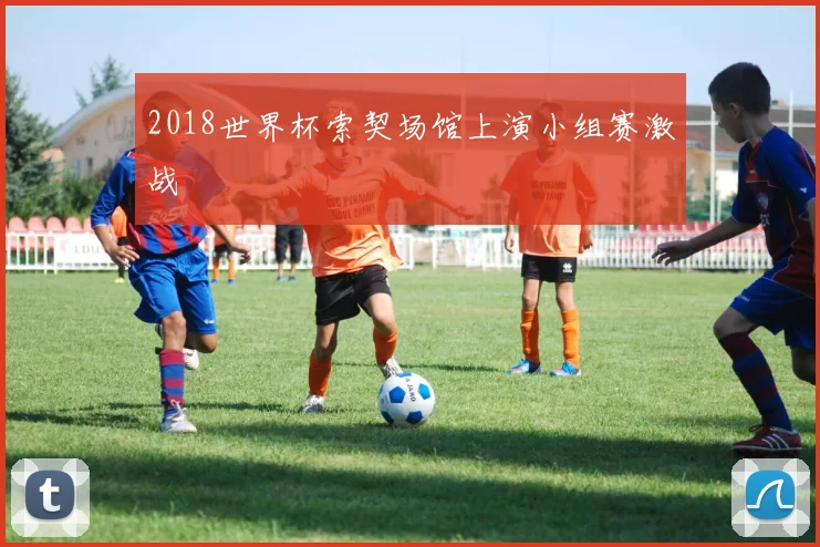 2018世界杯索契场馆上演小组赛激战